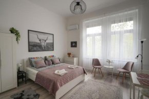 A Lovley newly decorated fully equipped apartment walking distance to the City Park where you will find the world famous Szechenyi thermal bath spa, Museums , and the Capital Circus , AC, smart TV, hi